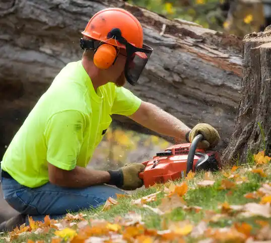 tree services New York Mills